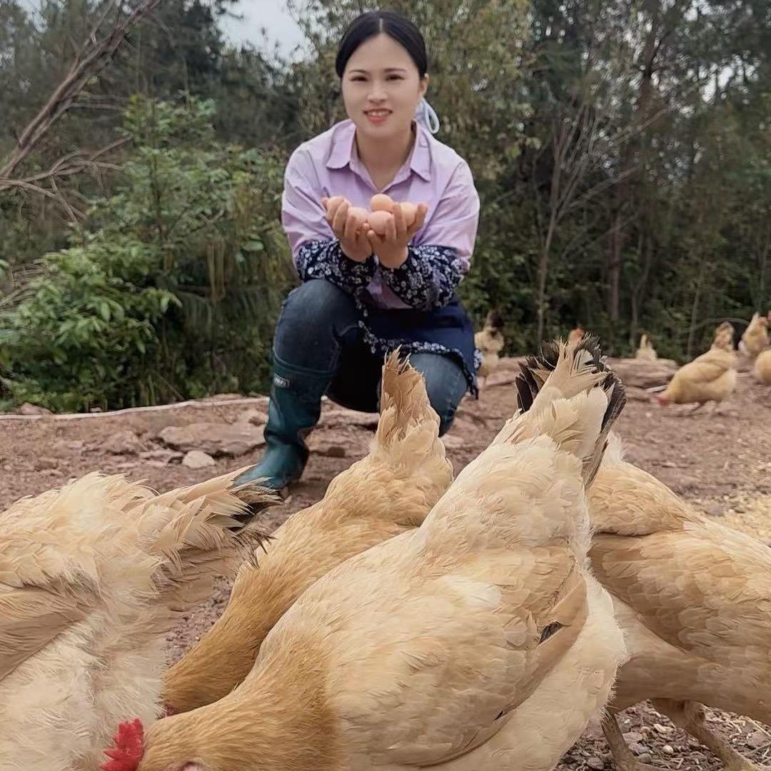 杨佩佩好物分享