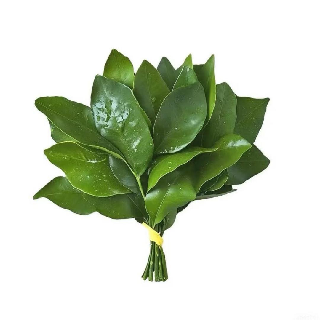 脑袋困掉了la-