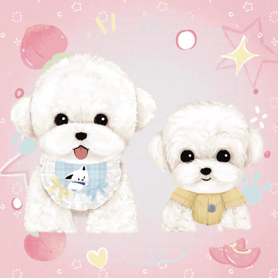 尼妮衣厨（萌宠潮玩版）