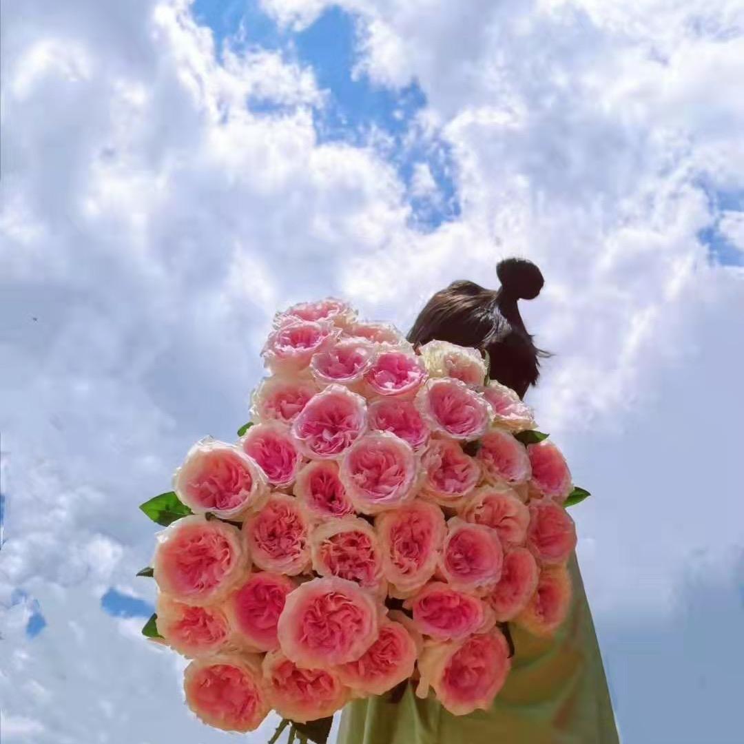 花蓿（XU）