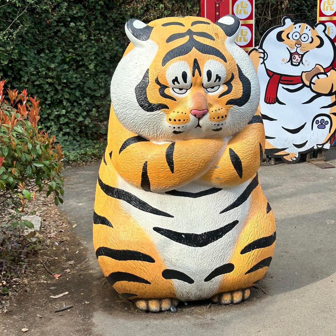 张同学😊