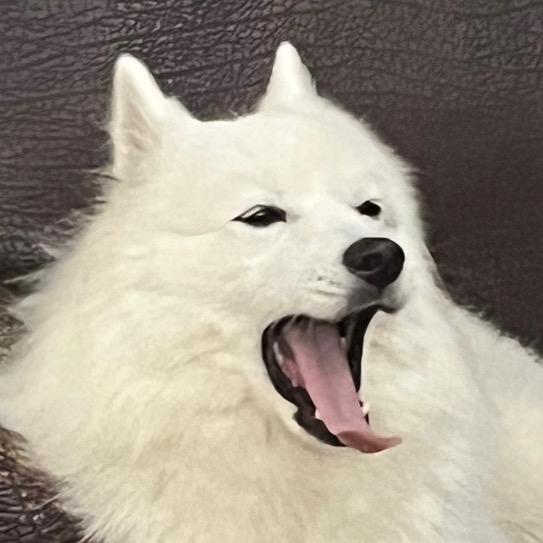 冷面嘻嘻