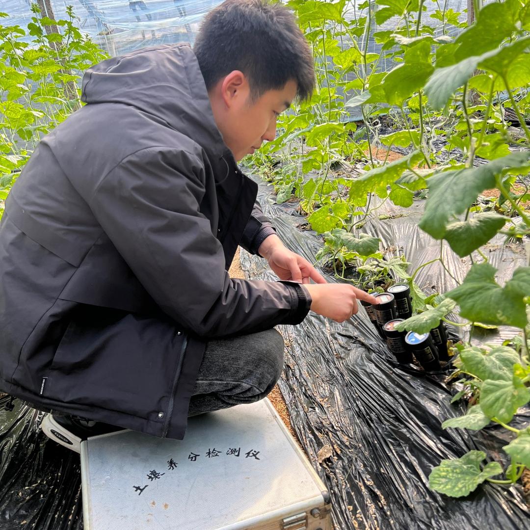 小李·蔬菜种植