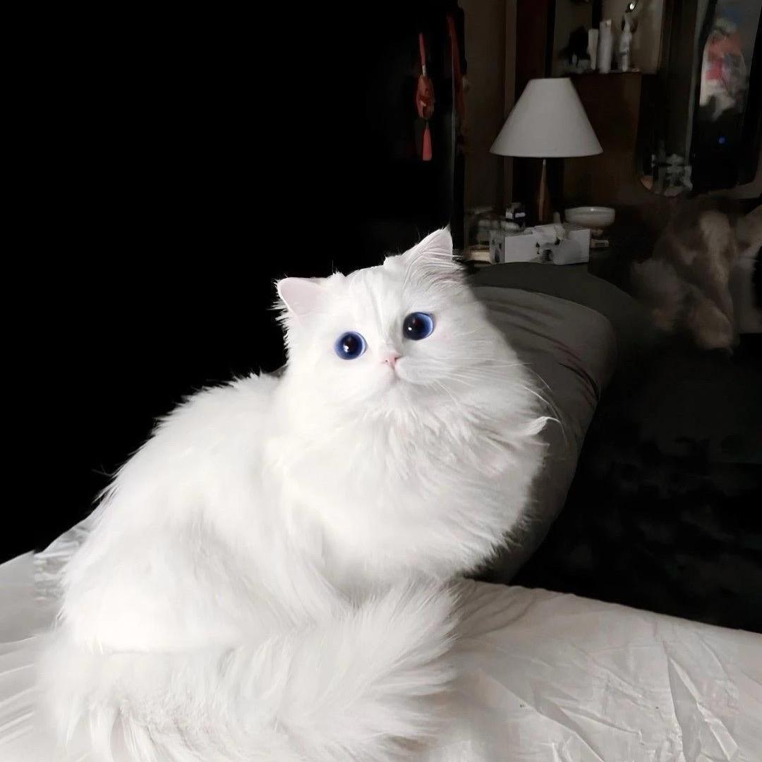 玉 玊