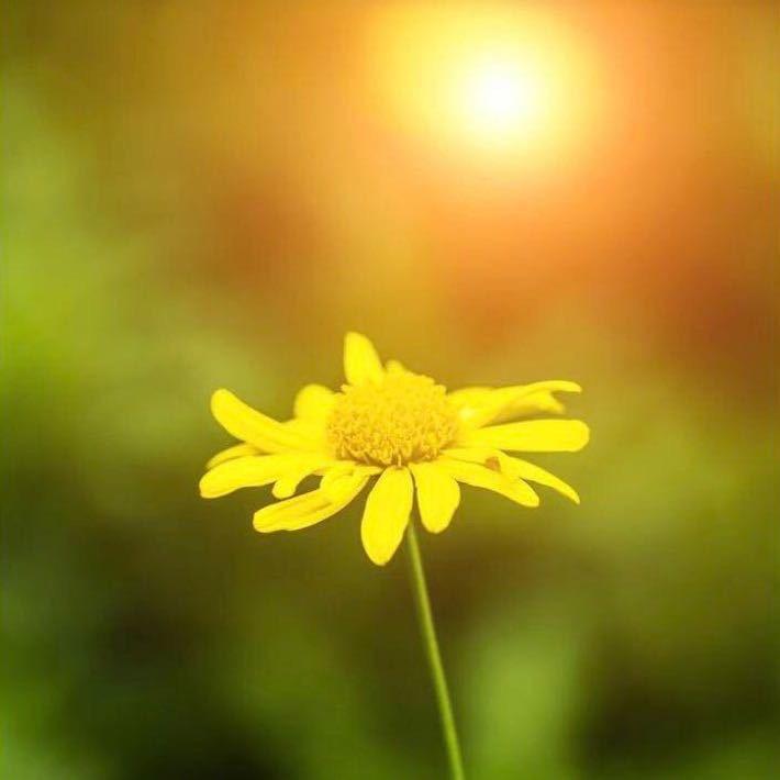 嘚啵嘚啵嘚啵霸