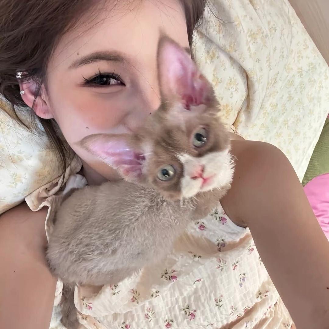 土豆妮妮