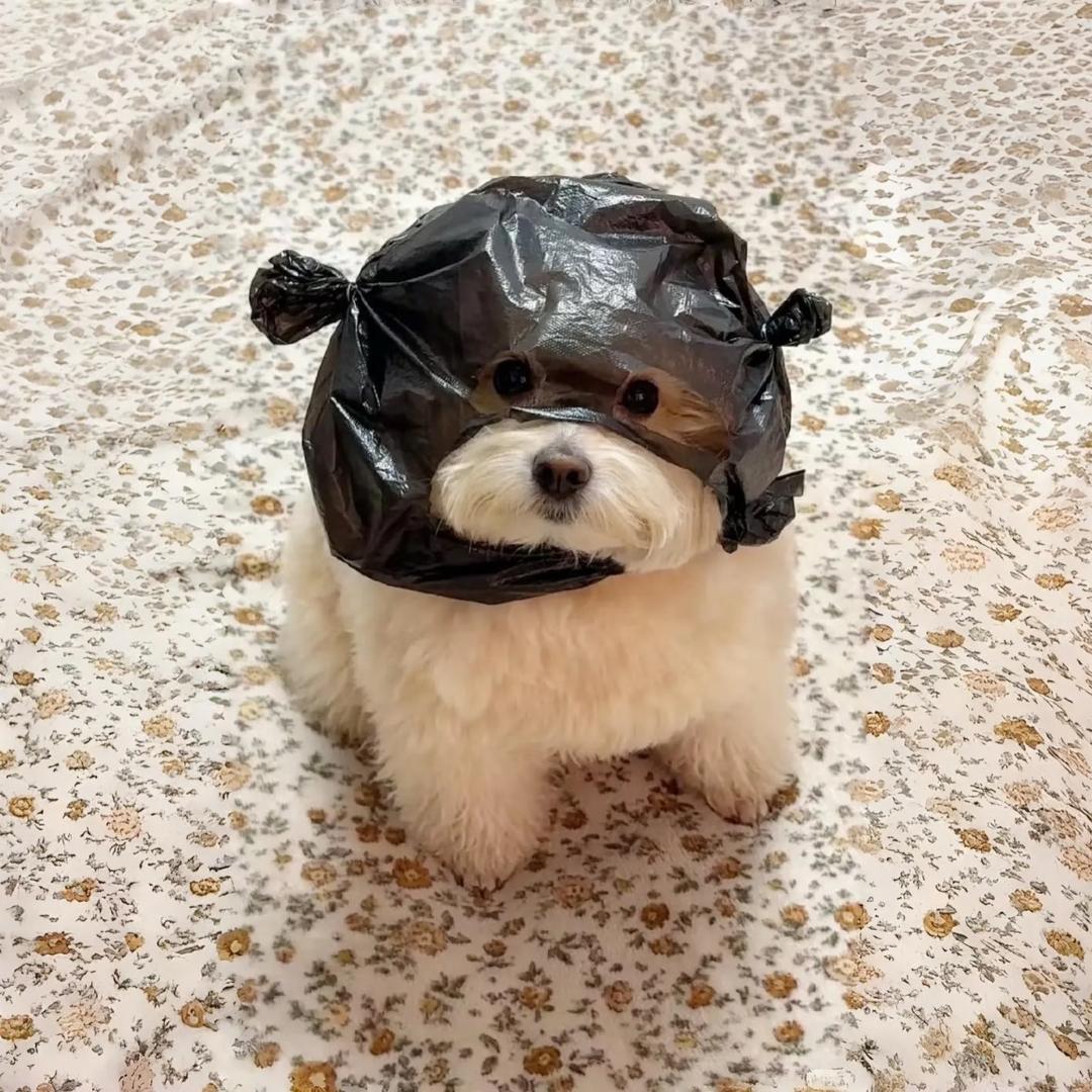 此用户没心没肺