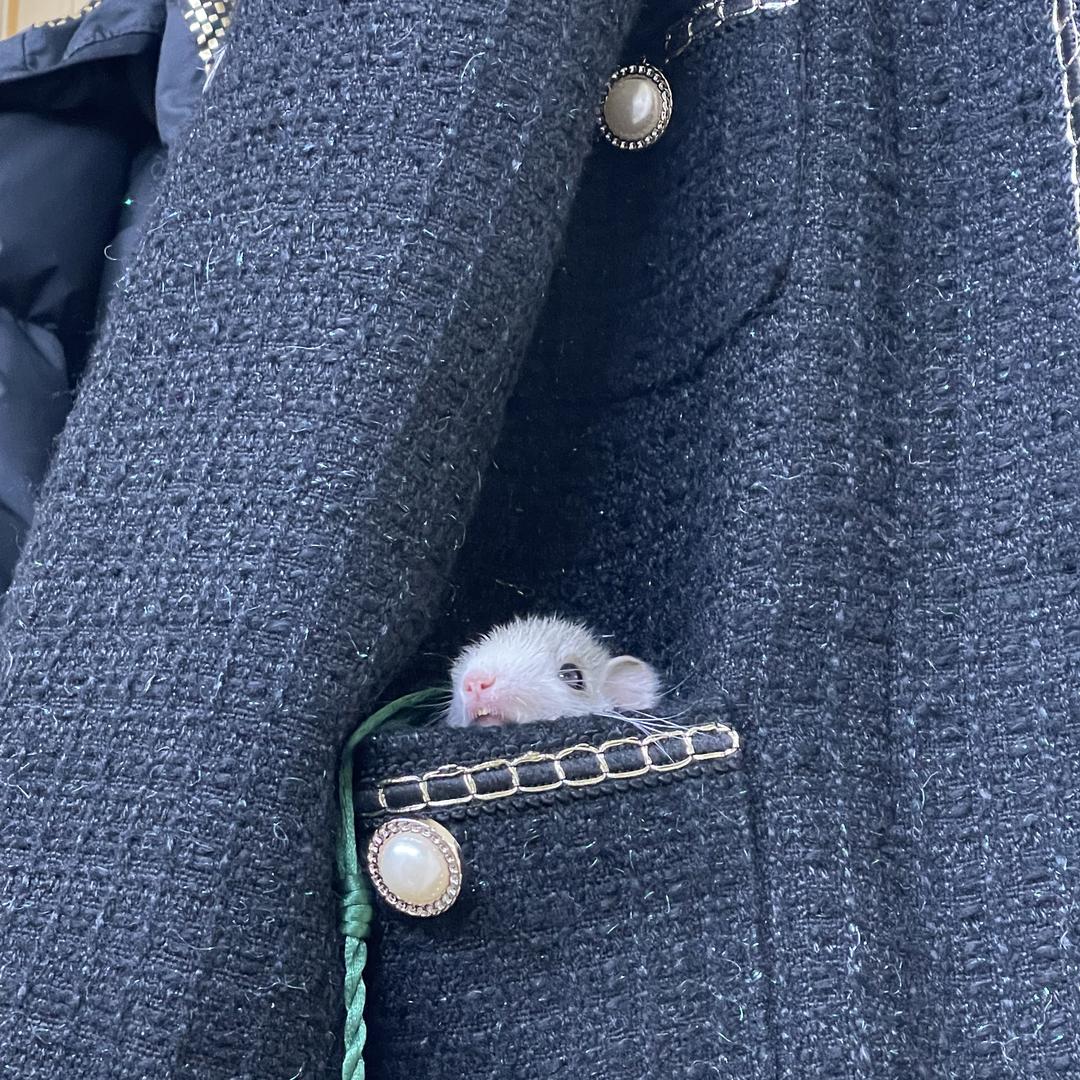 小奶盖创意饰品铺子