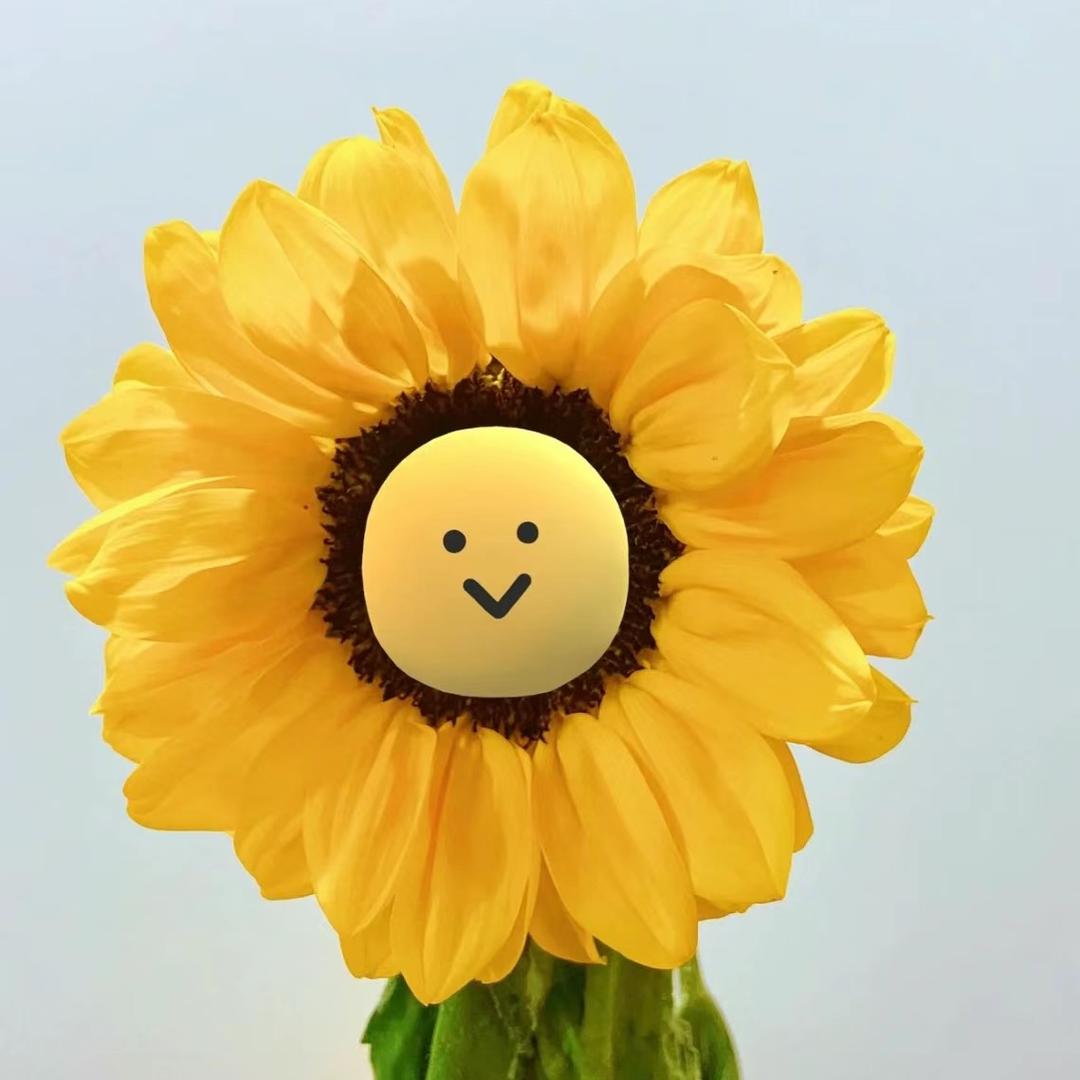 朱事顺遂（朱砂鉴定）