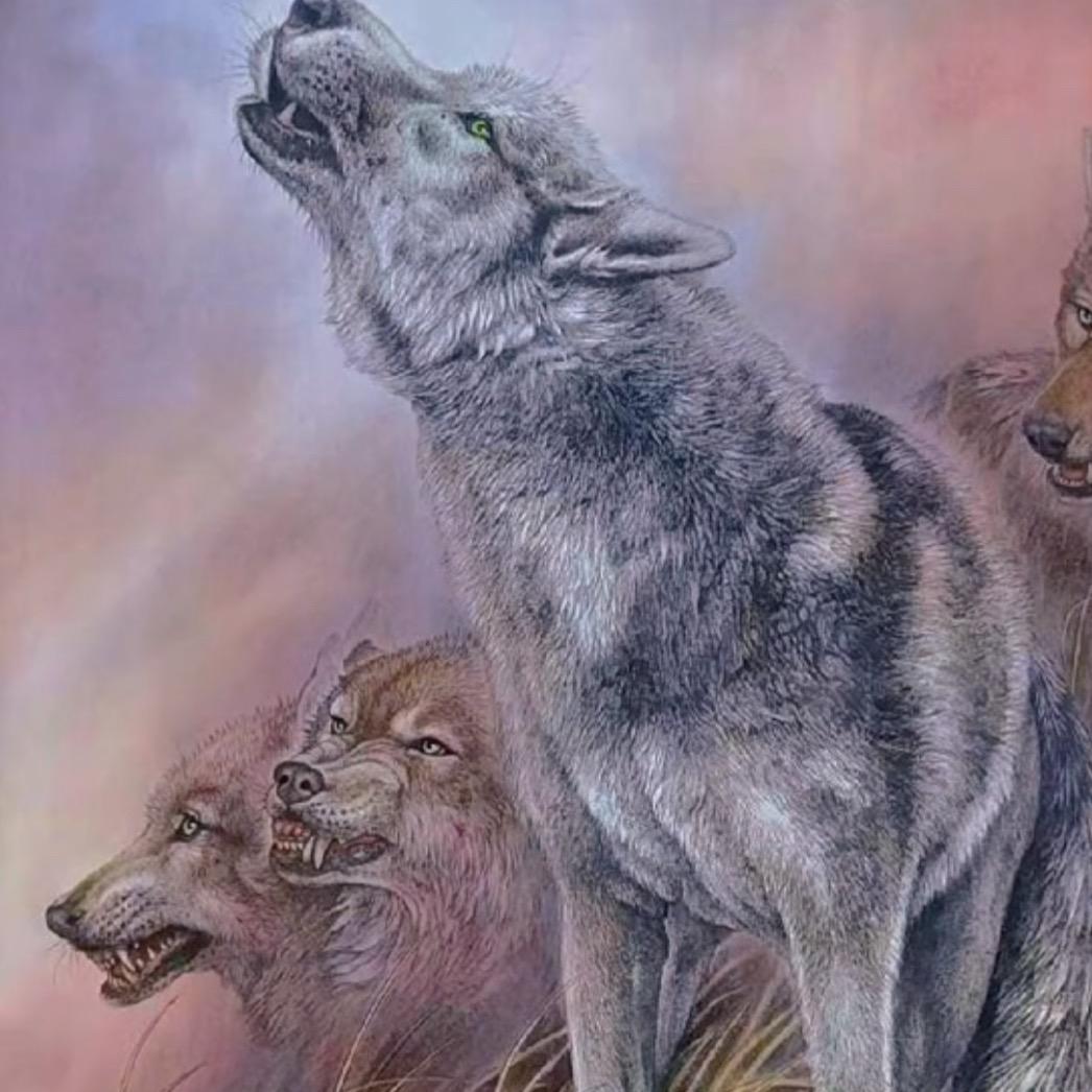 扎🦅琼🐺桑🪶培🐎邓🐴珠