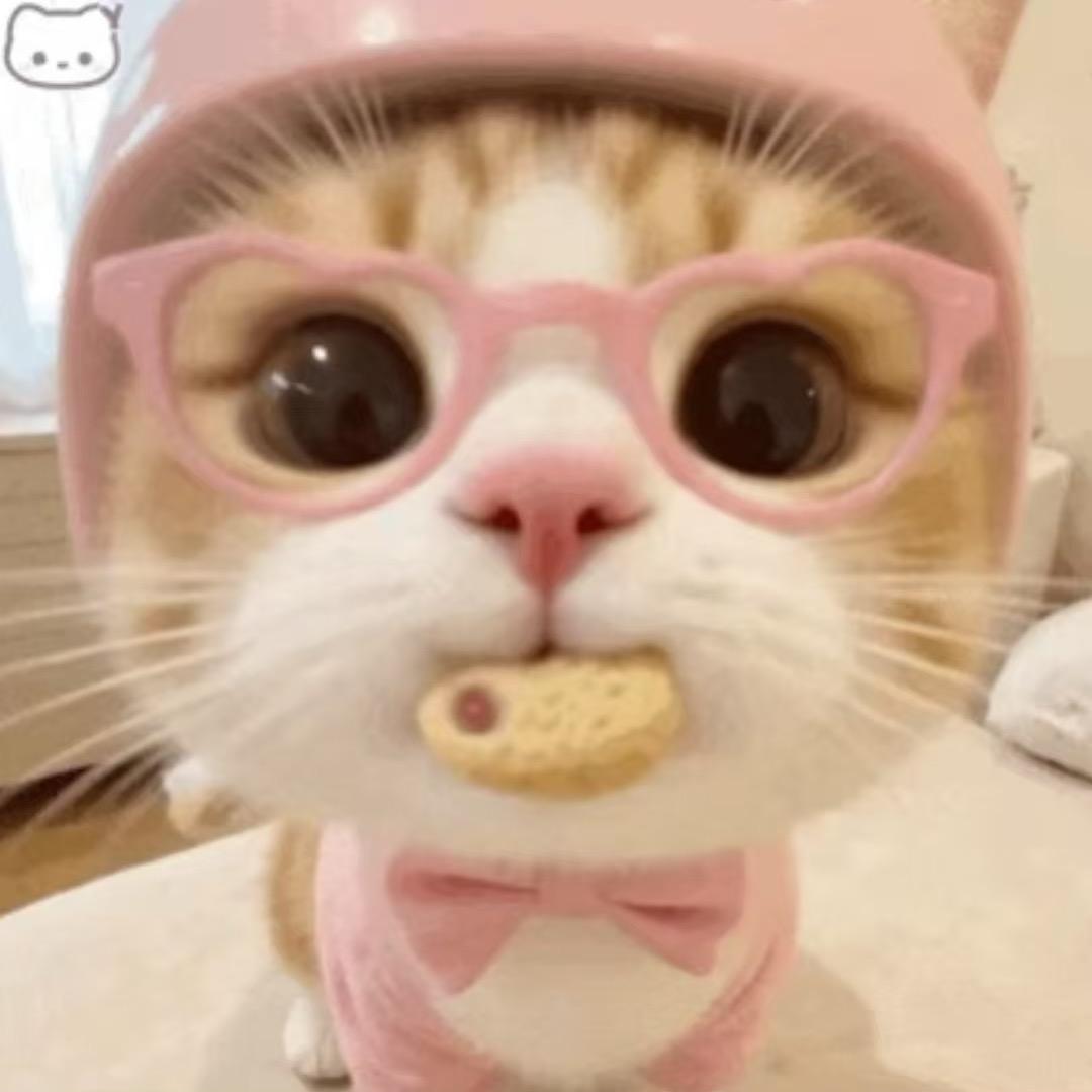 小哇啦🐰