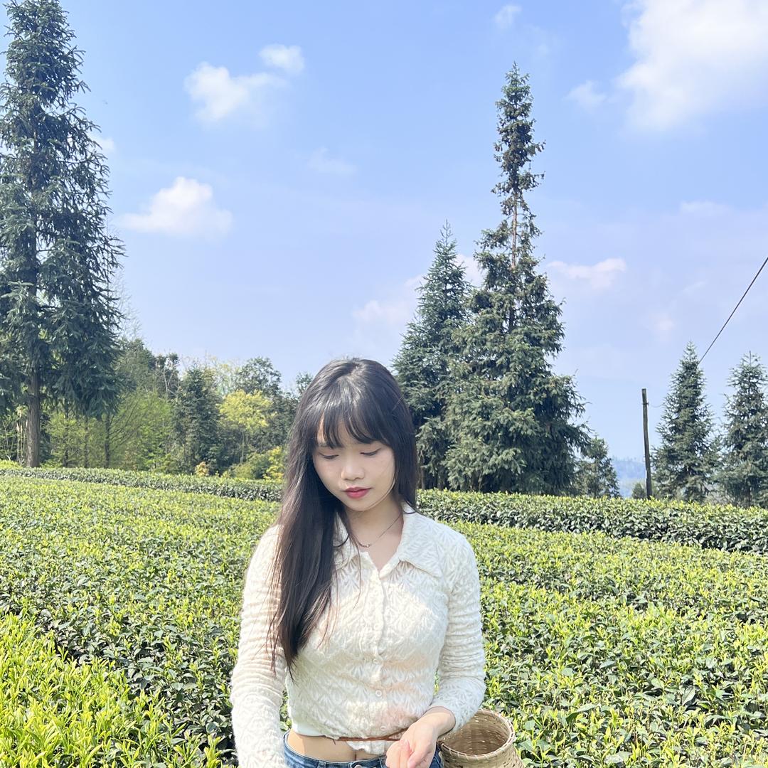 峨眉雪芽四川特产店