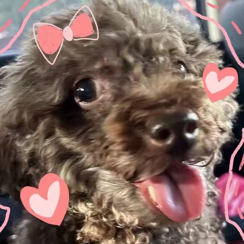 雅思不考到七分不改名