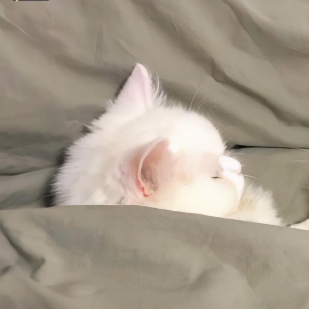 如今