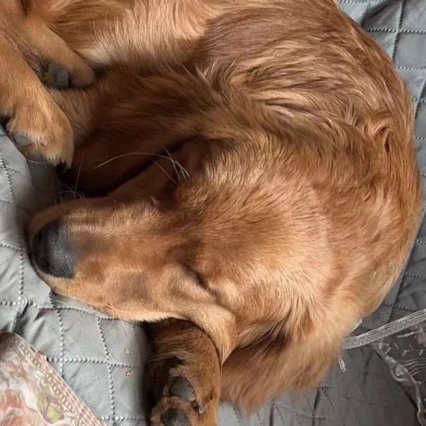 会翻后空翻的潘朵朵