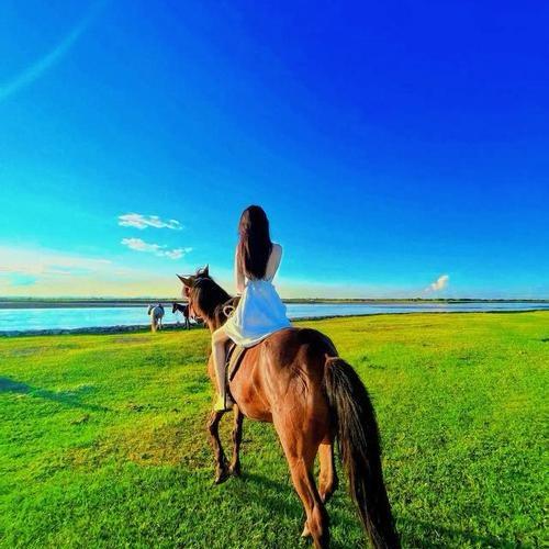 阿乐带你玩北京