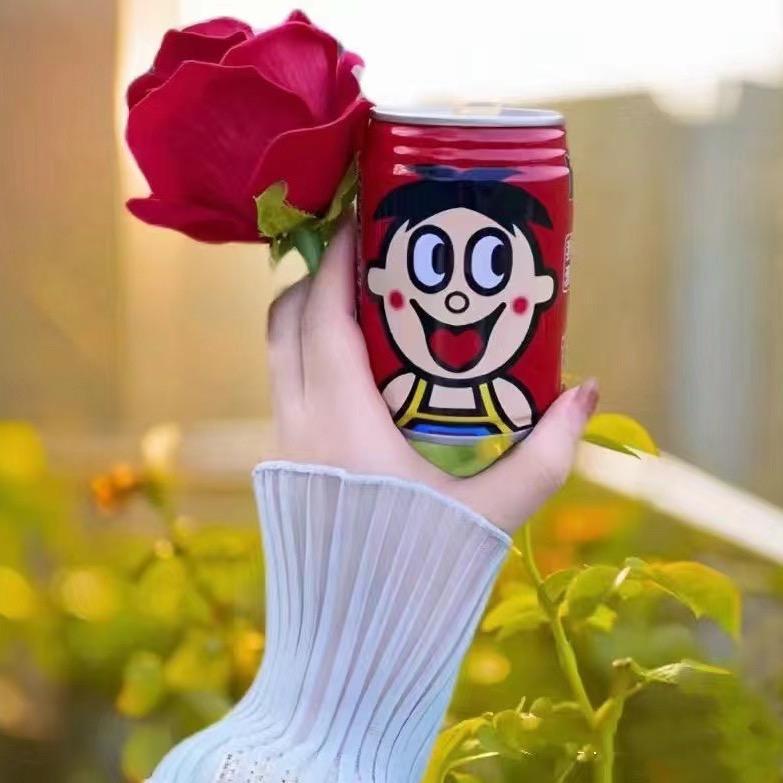 蕊宝