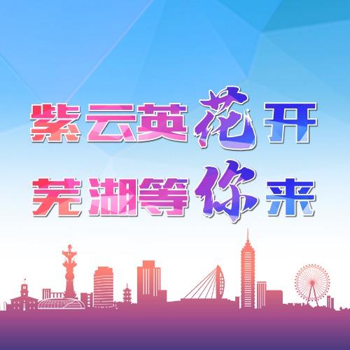 芜湖市人才发展集团