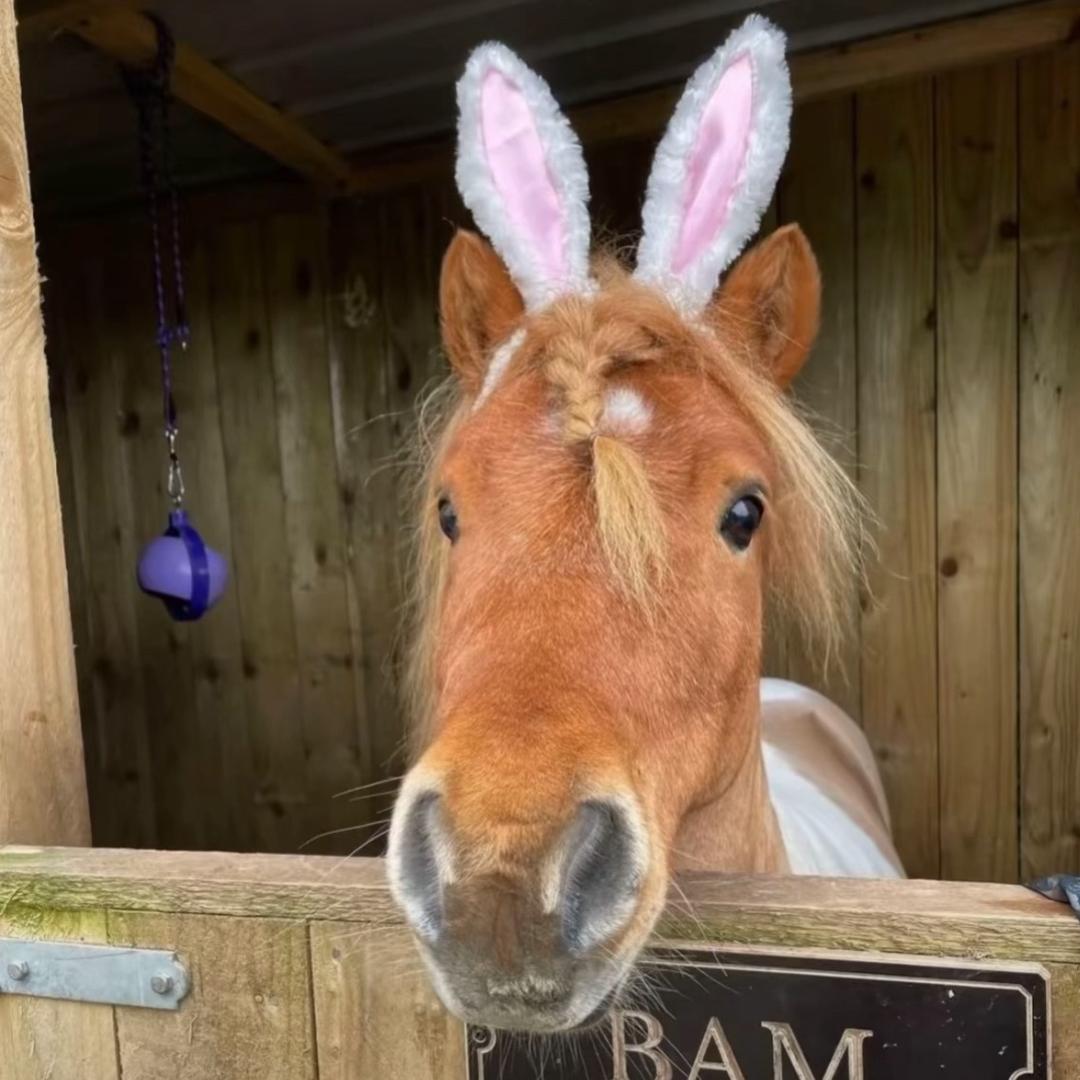 ˙Ꙫ˙姜舒柠˚.🧸