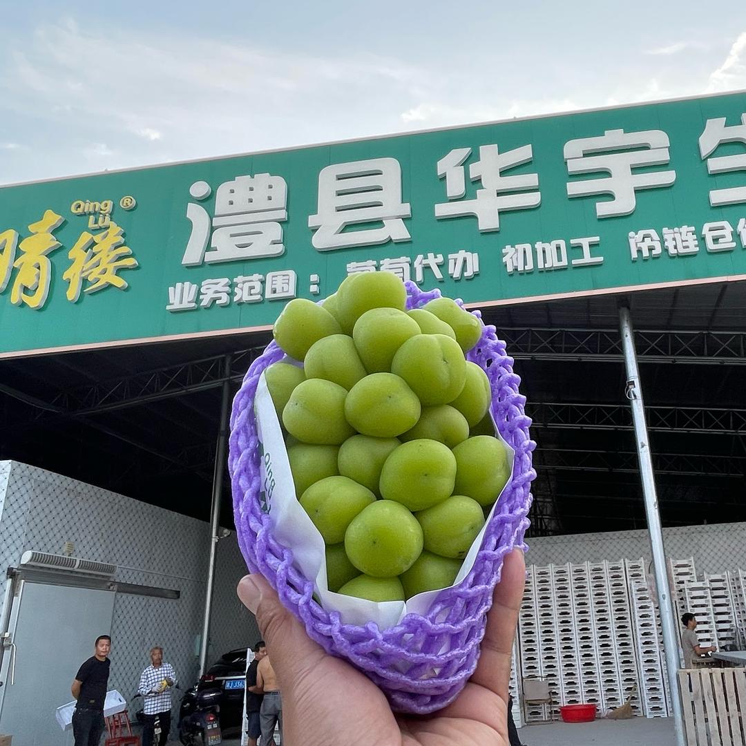 湖南华宇生态
