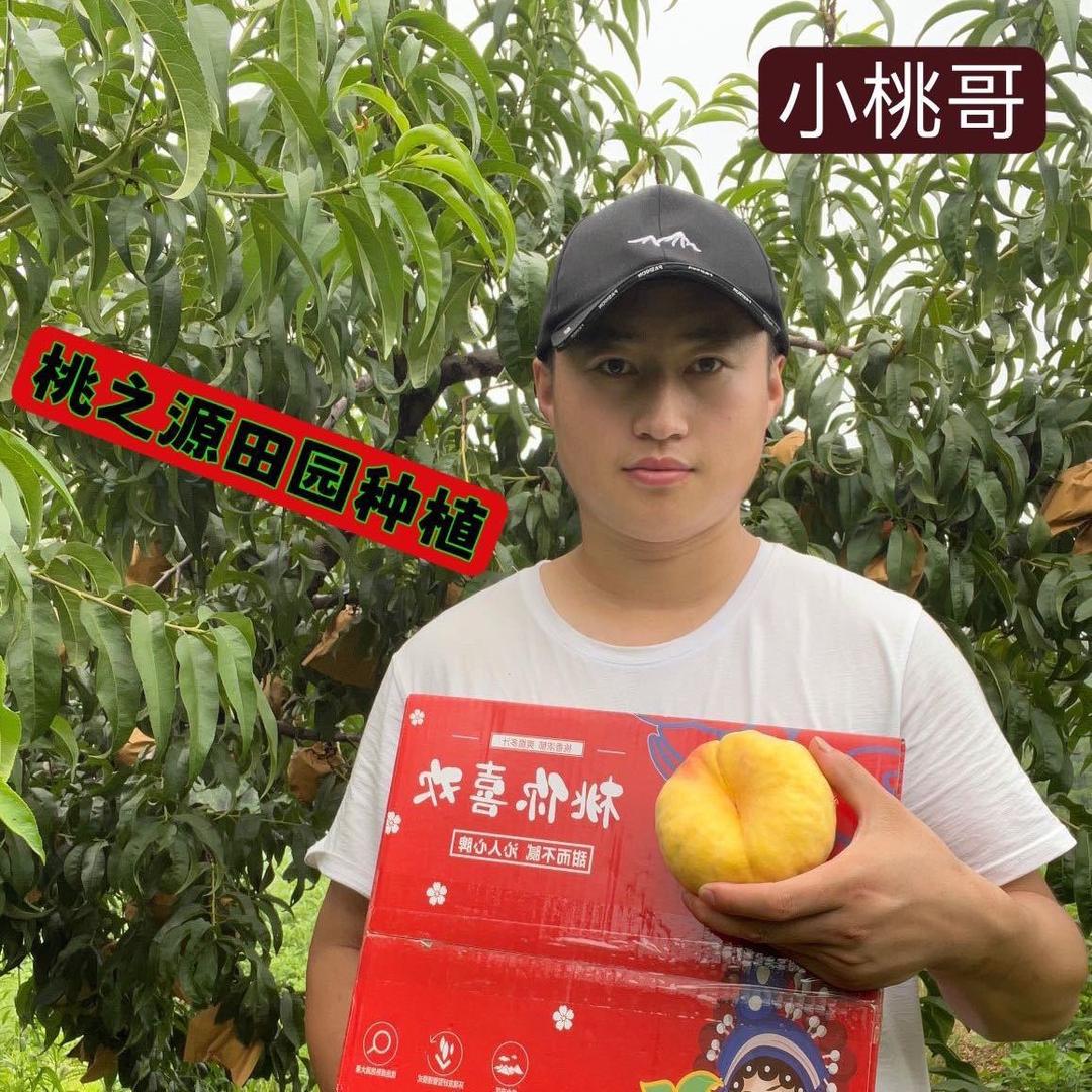 小桃哥田园种植