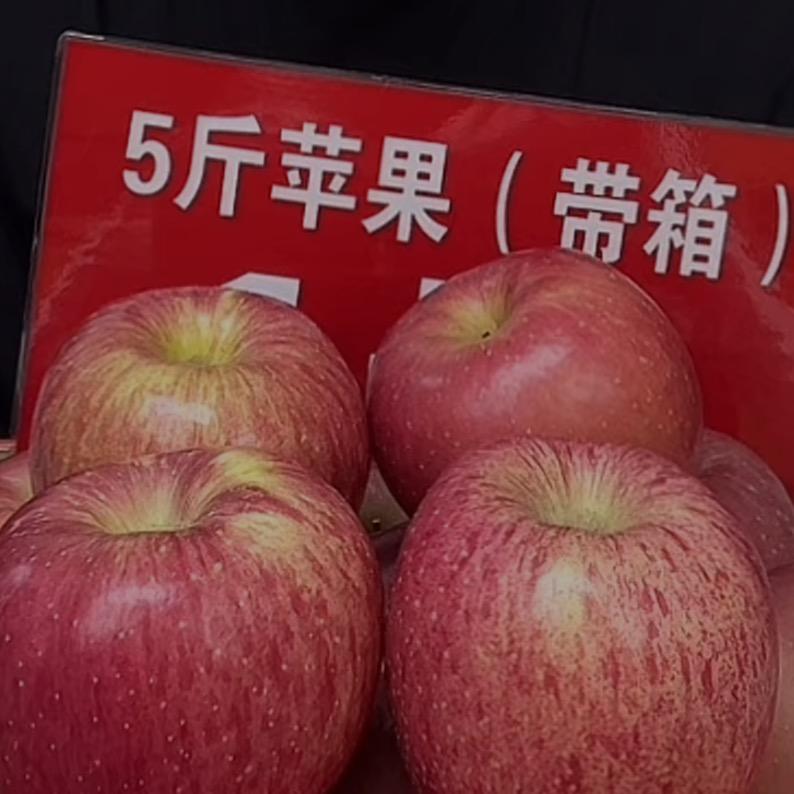 good-楠总