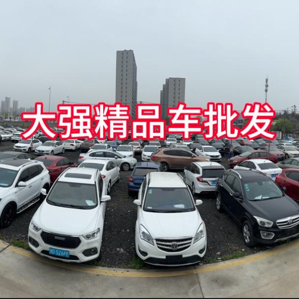 大强精品二手车（支持分期）