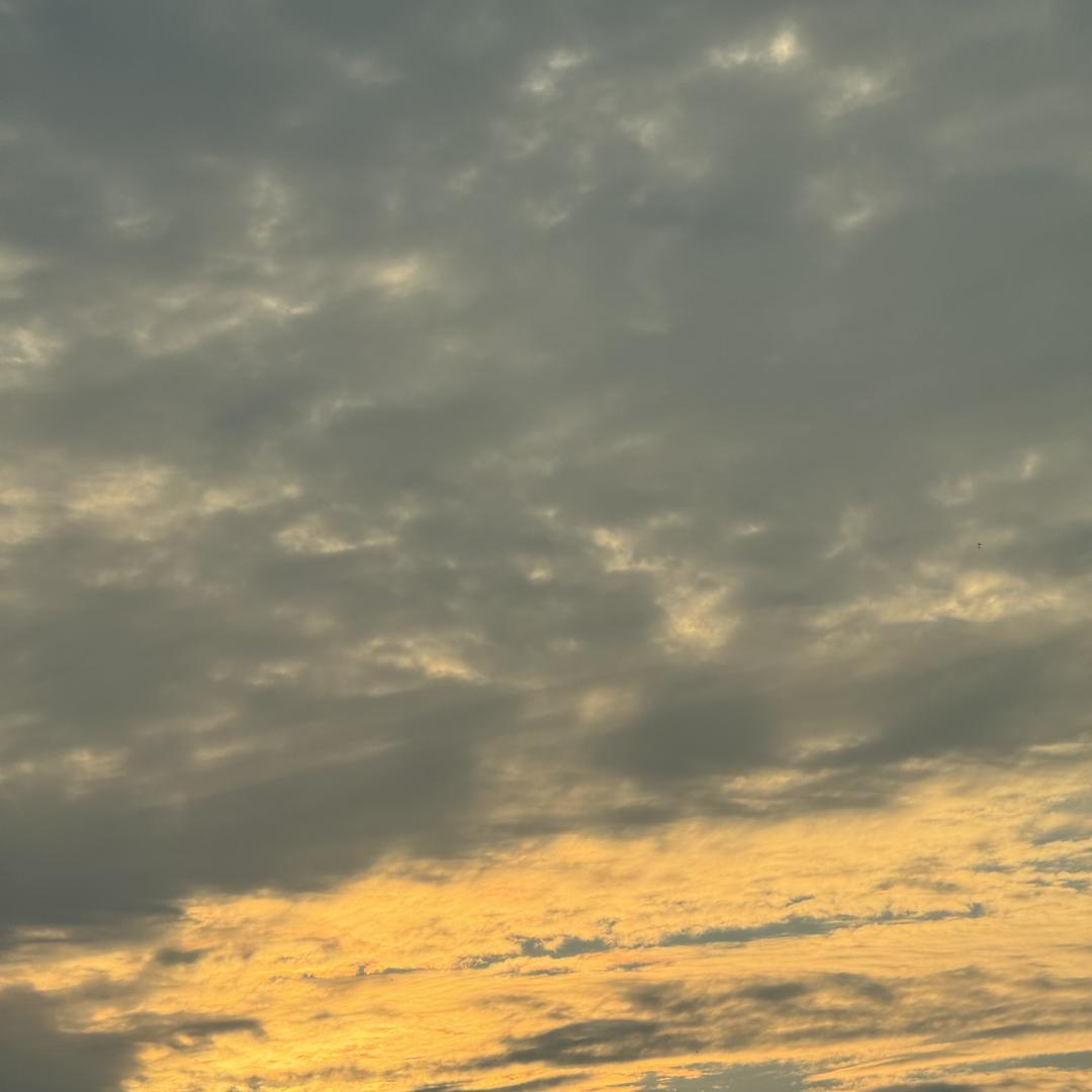 大敖探房