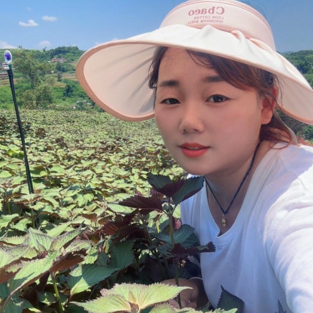@邓二妹（药材行）