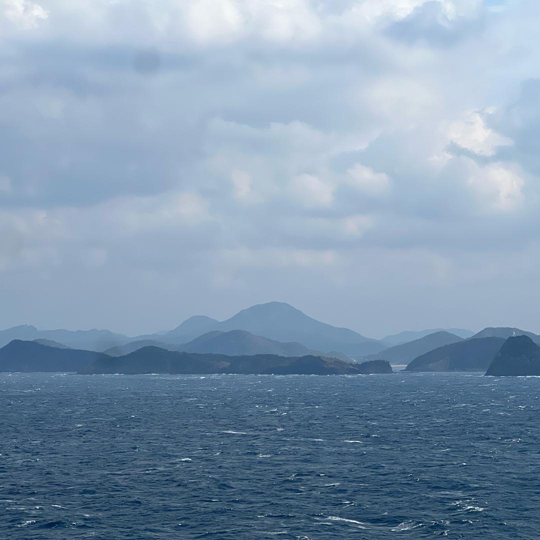 河南 芝麻灰.白