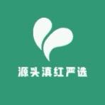 云南源头滇红严选
