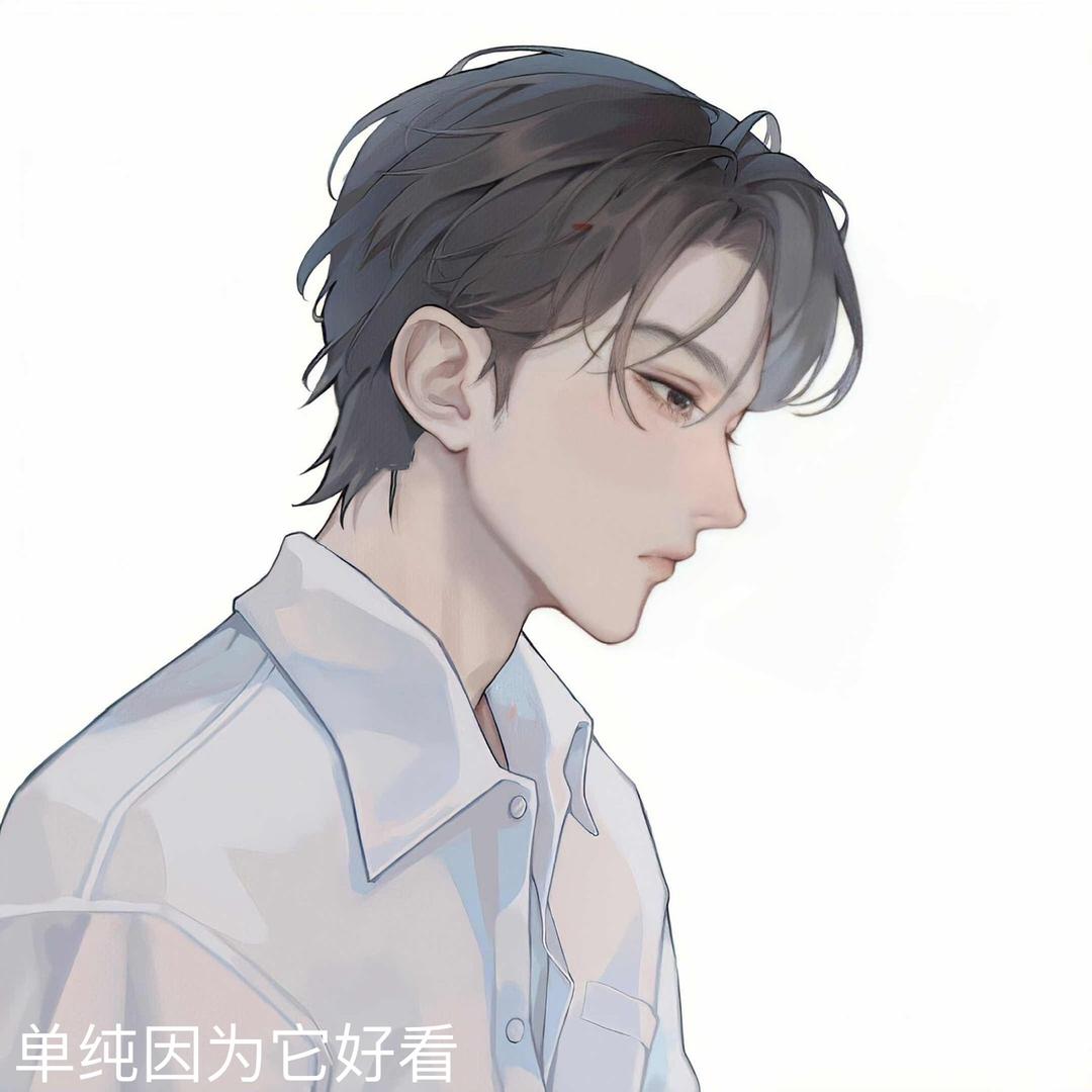 我猫丢了
