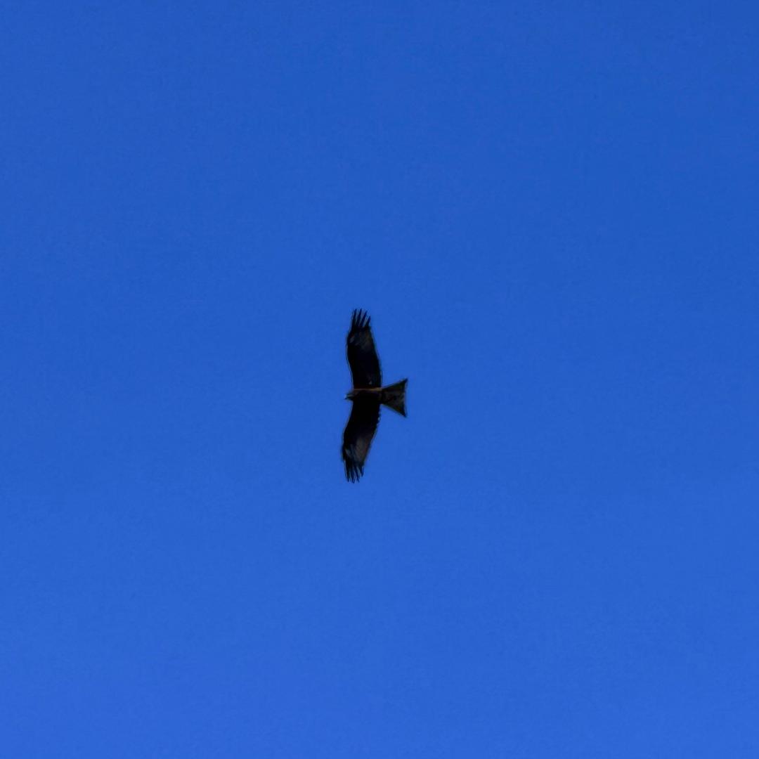 小宝的妈妈很漂亮📸