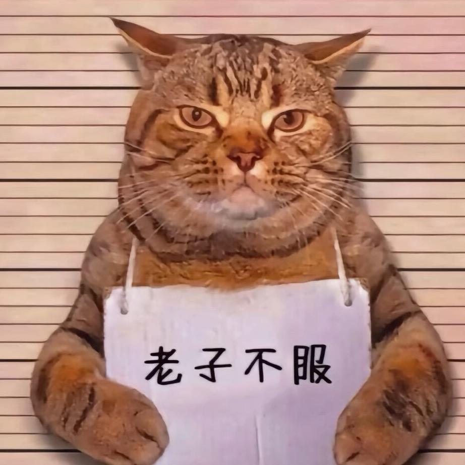 流年之舞