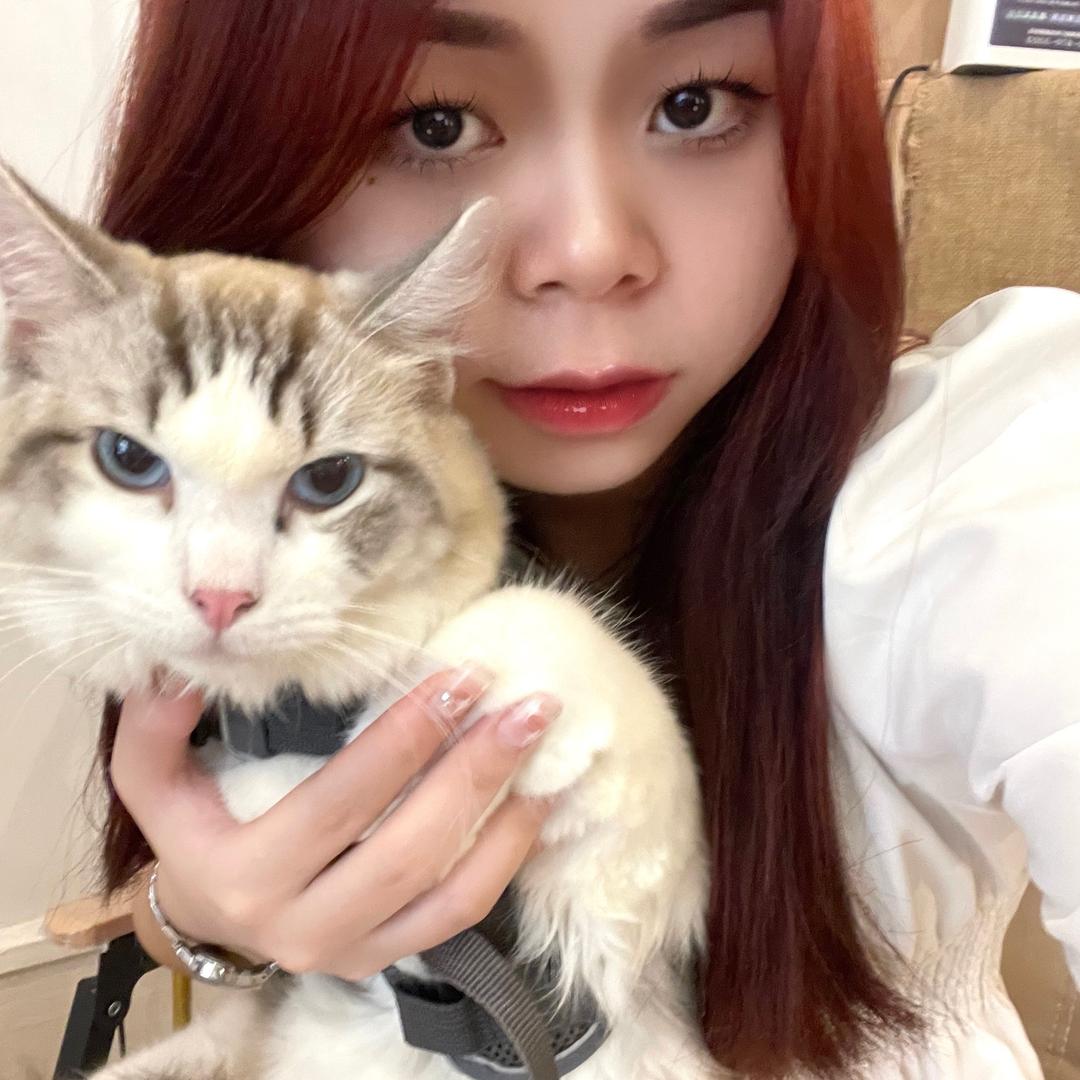 梁小🐟