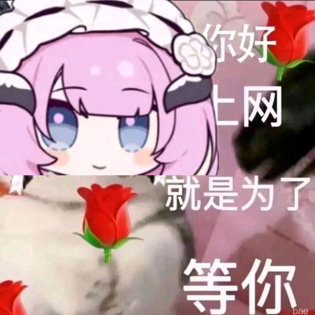 晨光
