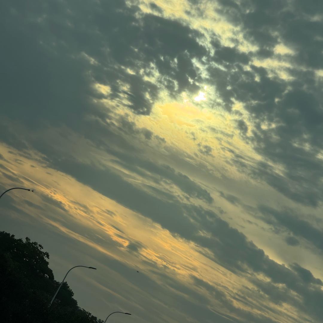 用户8625008002586
