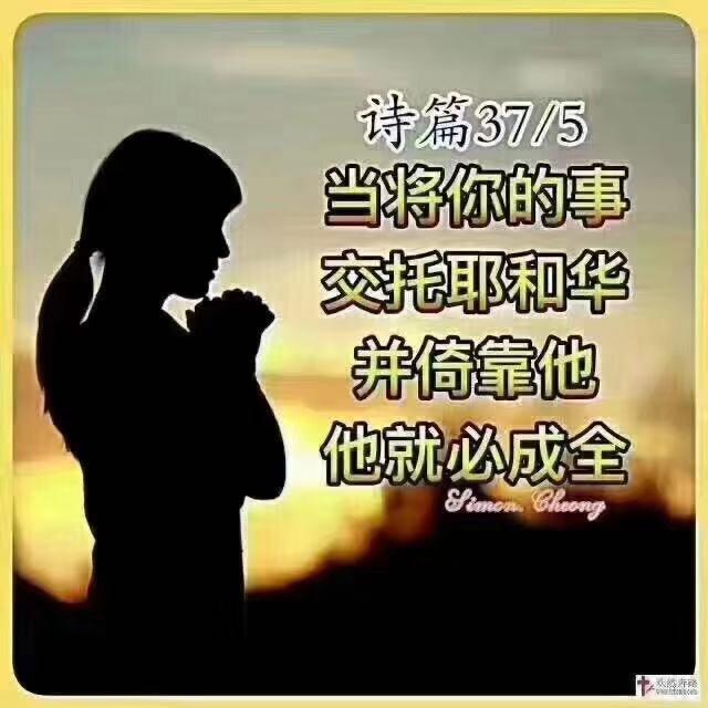 拾秋服装