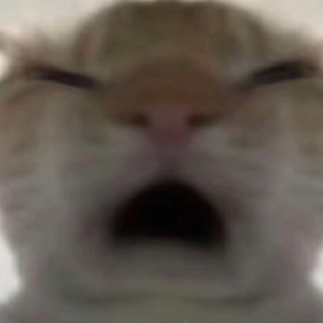 吃不饱（三角洲行动）