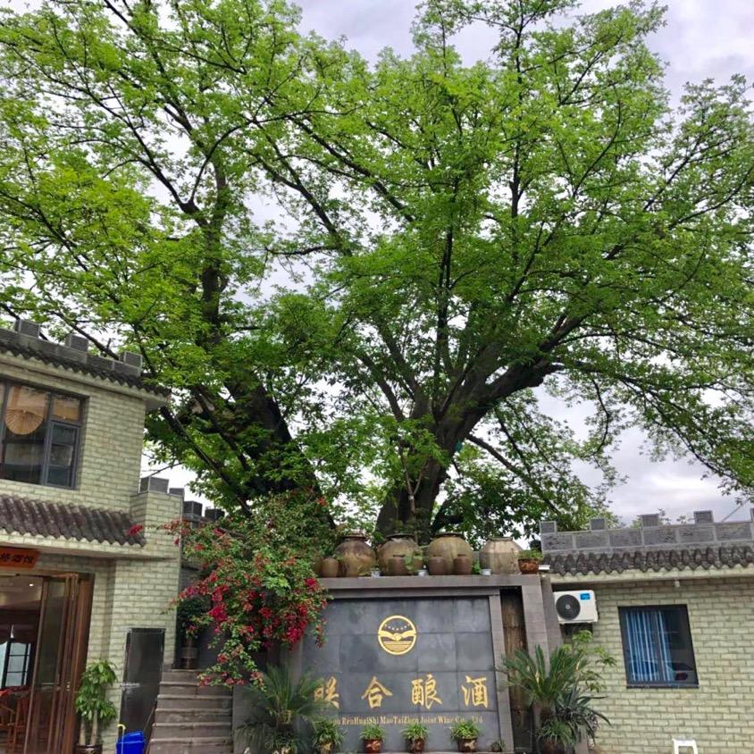 茅台镇超哥的联合酱酒