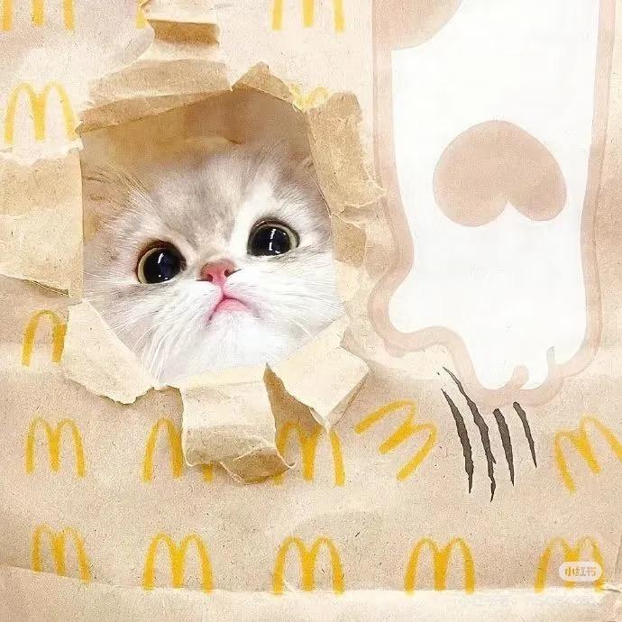 小熊