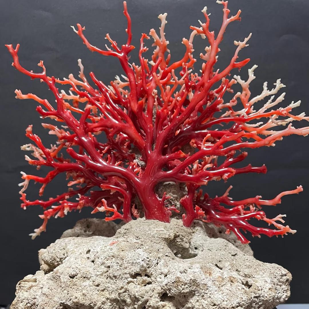 小徐甄选文玩3号店