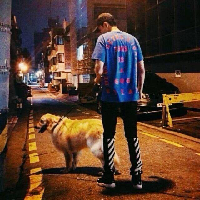 🦔