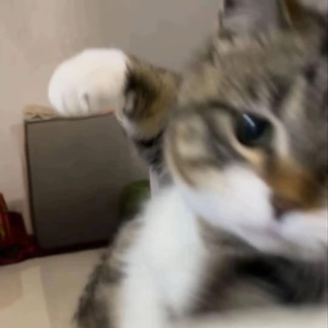 湫♥︎