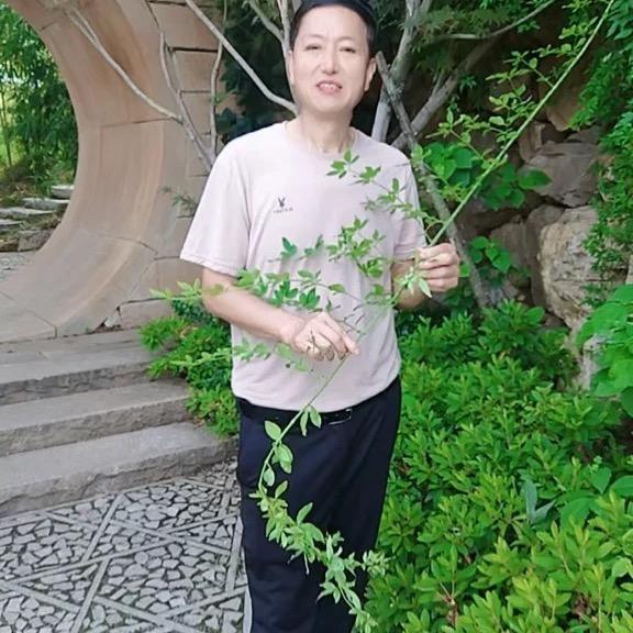 望江龙哥
