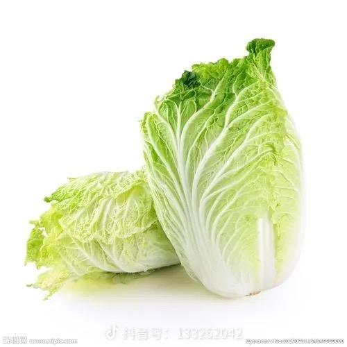 一颗大白菜🥬