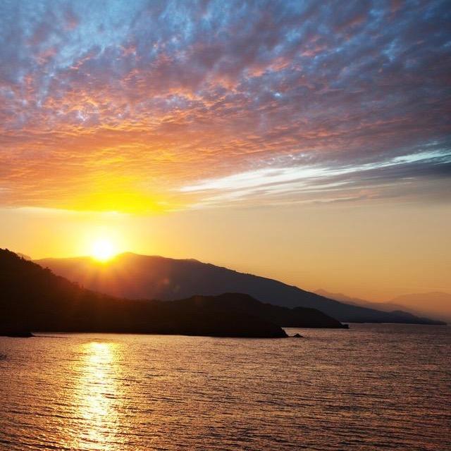 海派