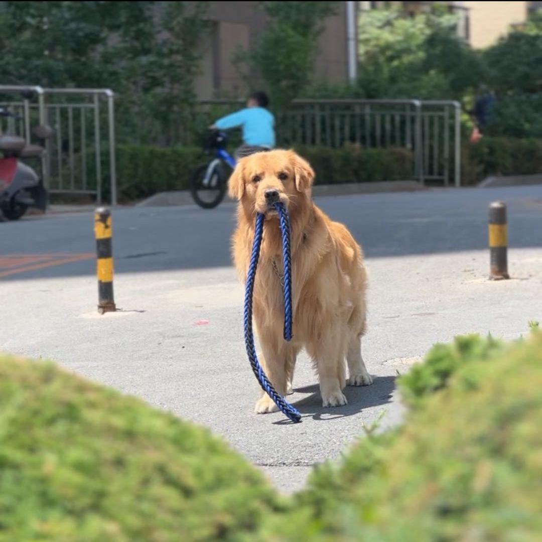 大连小爽哥