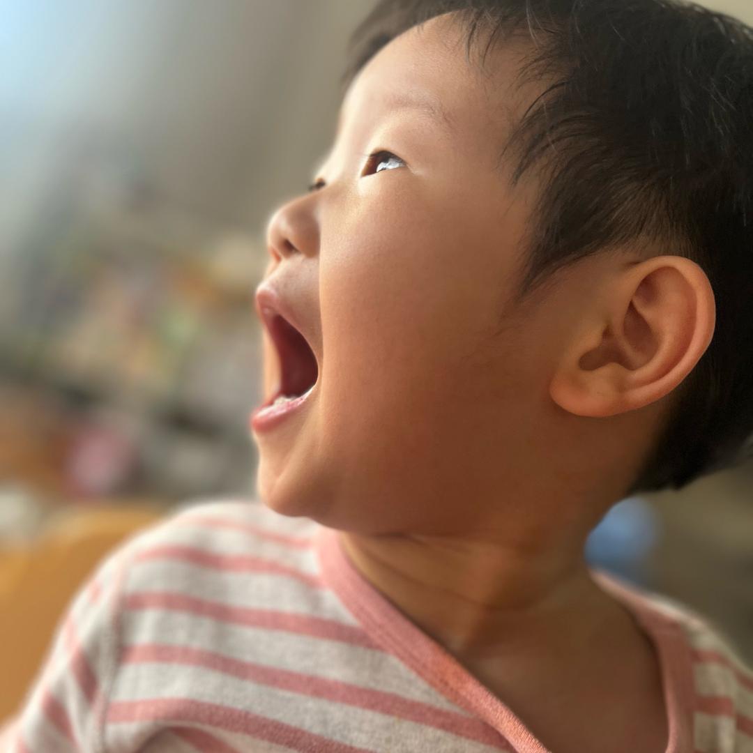 超爱吃的小话痨