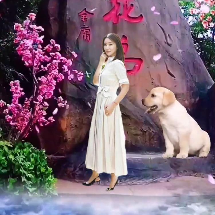 羊羊羊🐑